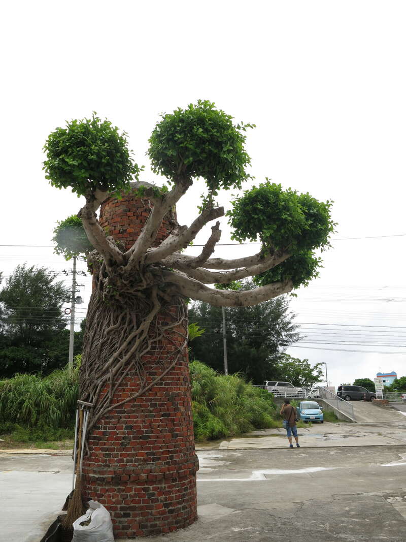 木の手が生えた煙突