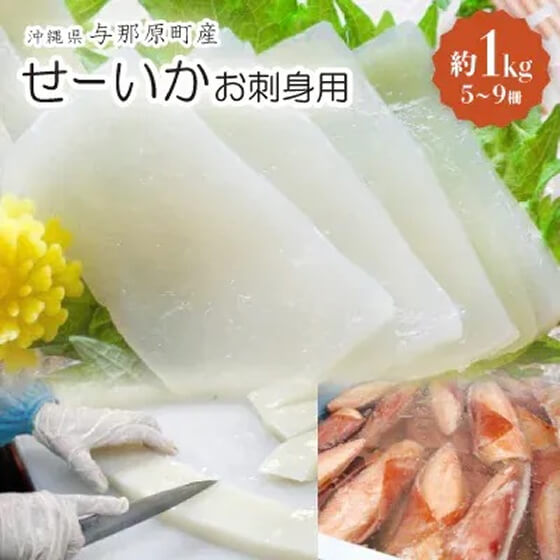 せーいか お刺身用 約1kg(200g×5柵)