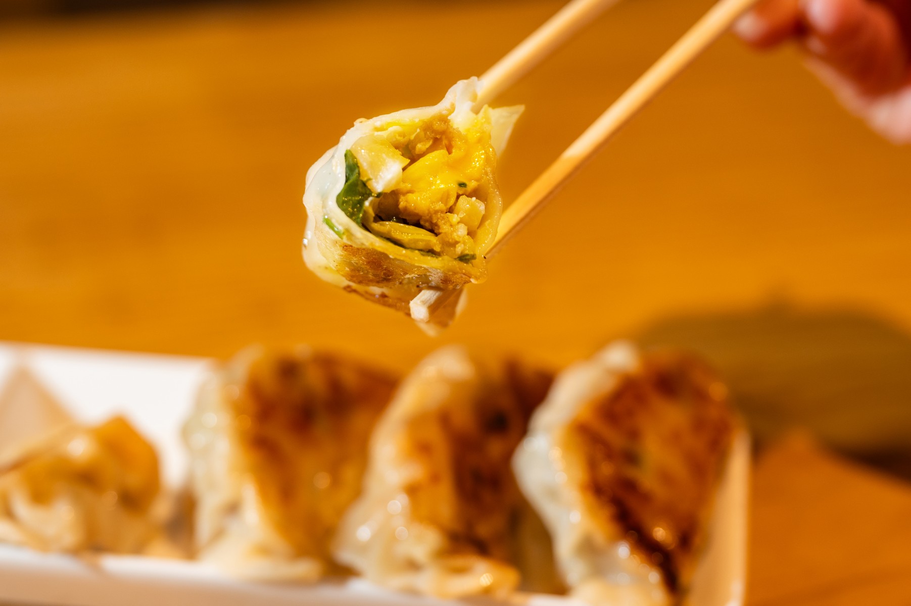 皮から餡まで手作りの自家製餃子